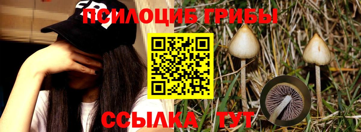 Галлюциногенные грибы мухоморы Бирск